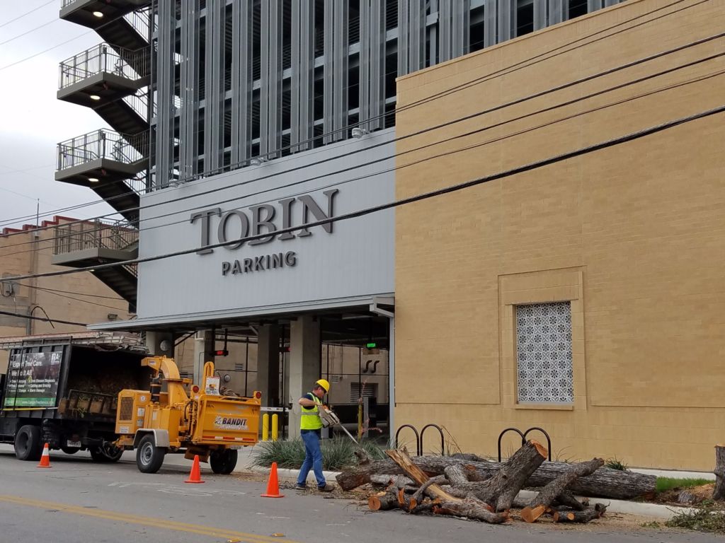 Tree worker cutting tree up next to Tobin Garage.