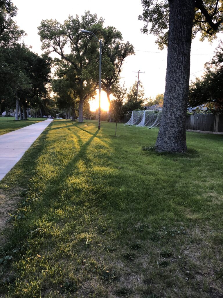 Tree shade leads to bare spot beneath tree in suburban neighborhood.