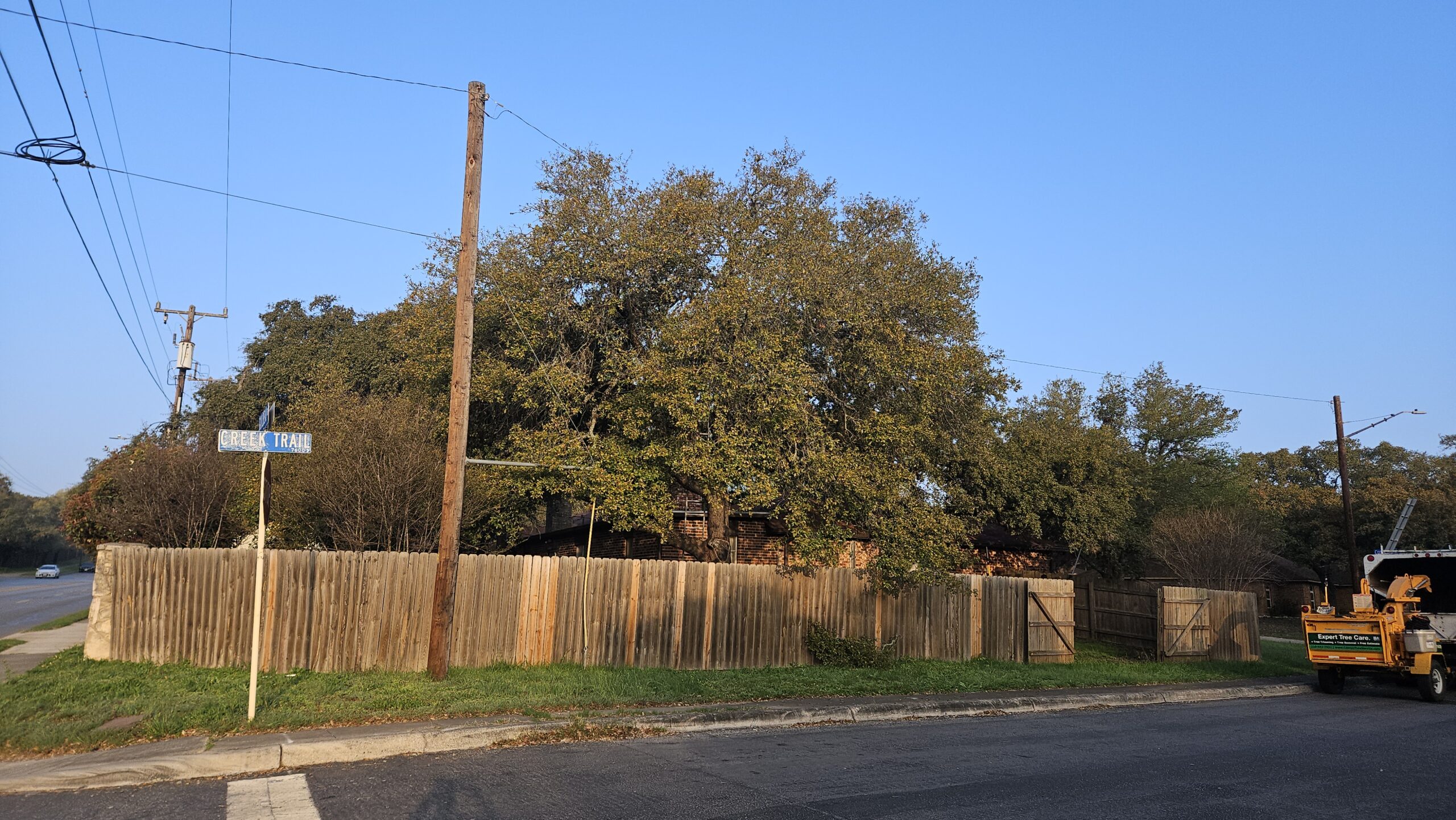 Multiple, mature Live Oak trees inside a suburban backyard residence overhang fence and interfere with pedestrian sidewalk. Canopy Tree Service wood chipper in picture.