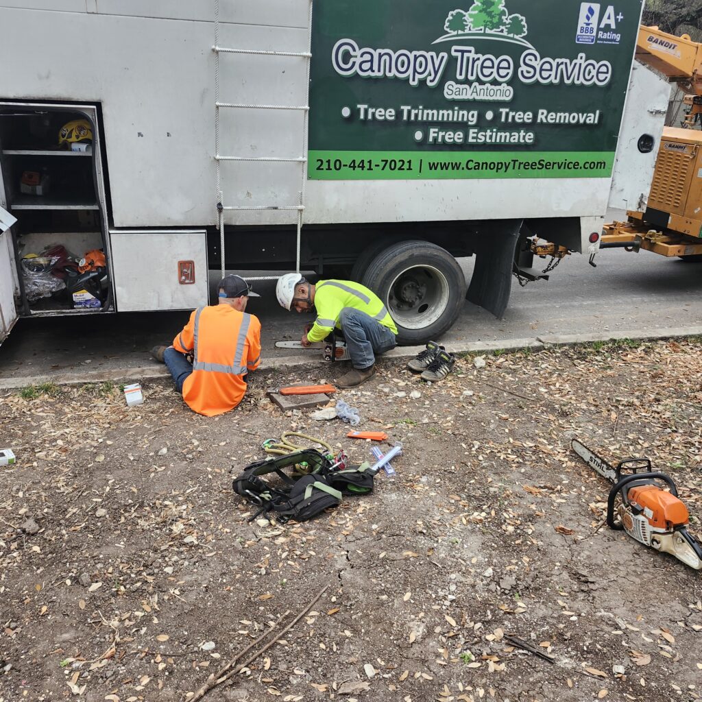 Beside the Canopy Tree Service chip truck, two tree care workers are sharpening their chainsaws.