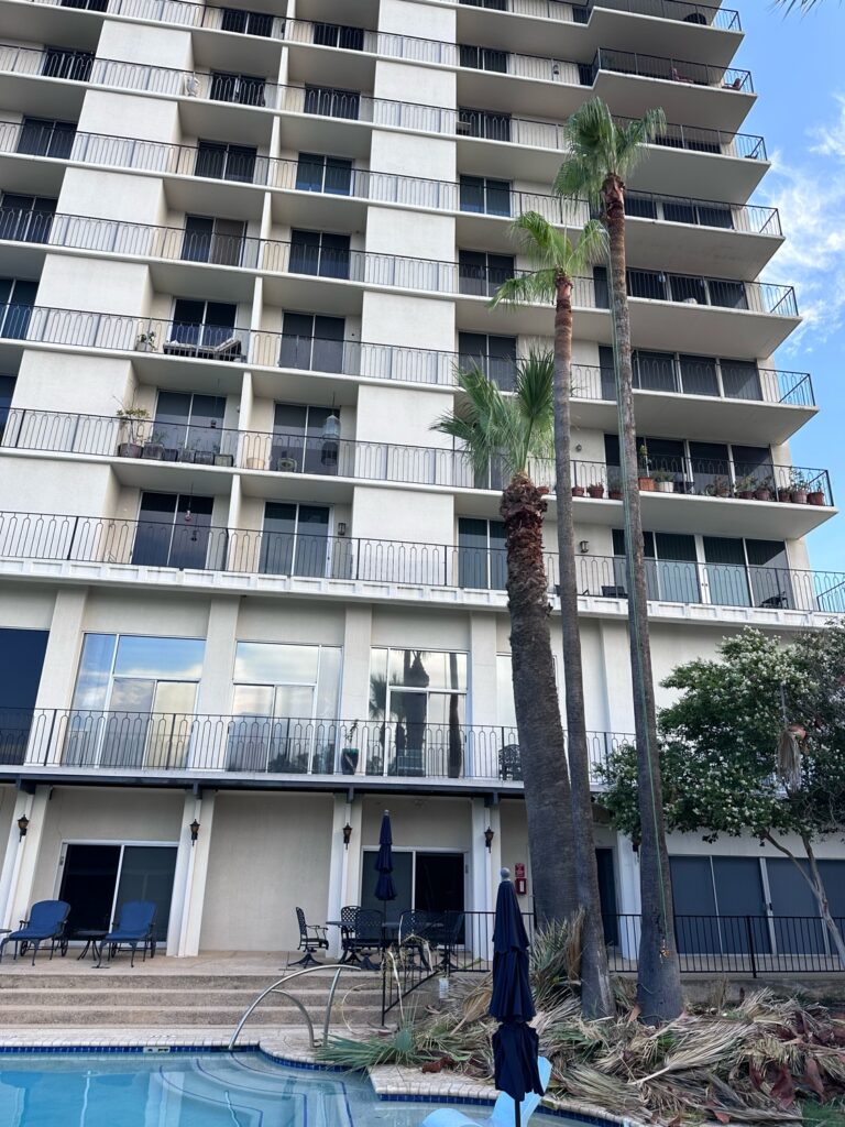 These palm trees were pruned by Canopy Tree Service. At the base of the tree are the fronds that were removed. Our pruners climbed the trunk with a chainsaw to accomplish this task since the trees were too close to a pool and apartment to bring in a bucket lift.